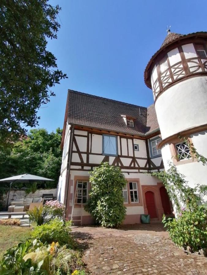 Maison Kobold Xvie Siecle Wissembourg Exteriör bild