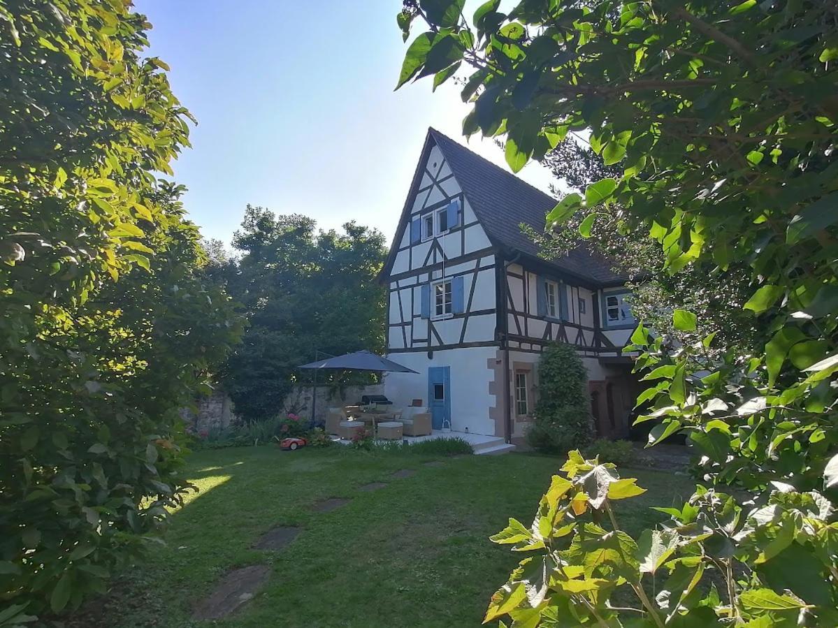 Maison Kobold Xvie Siecle Wissembourg Exteriör bild