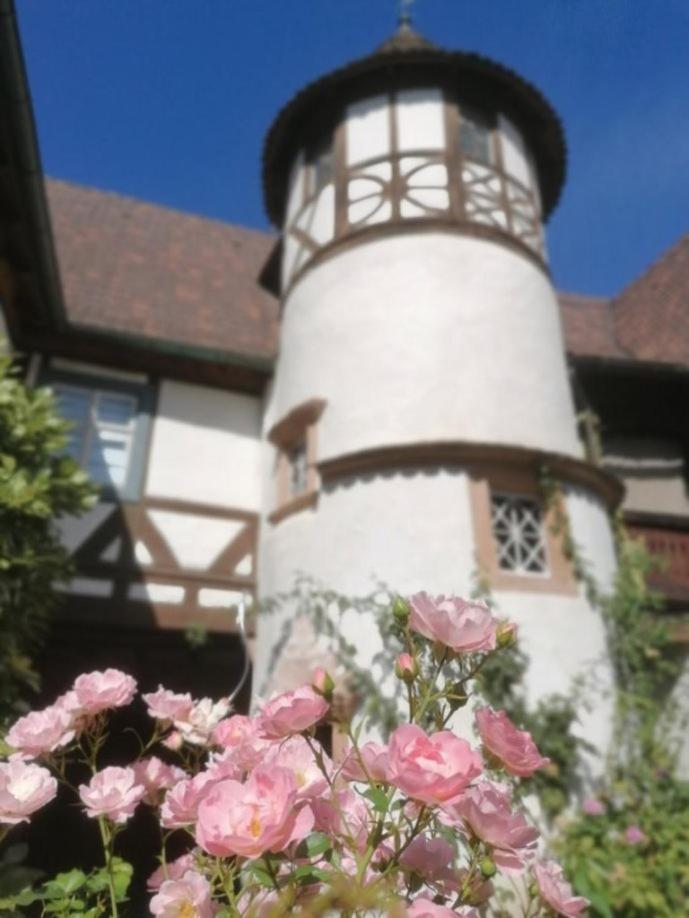 Maison Kobold Xvie Siecle Wissembourg Exteriör bild