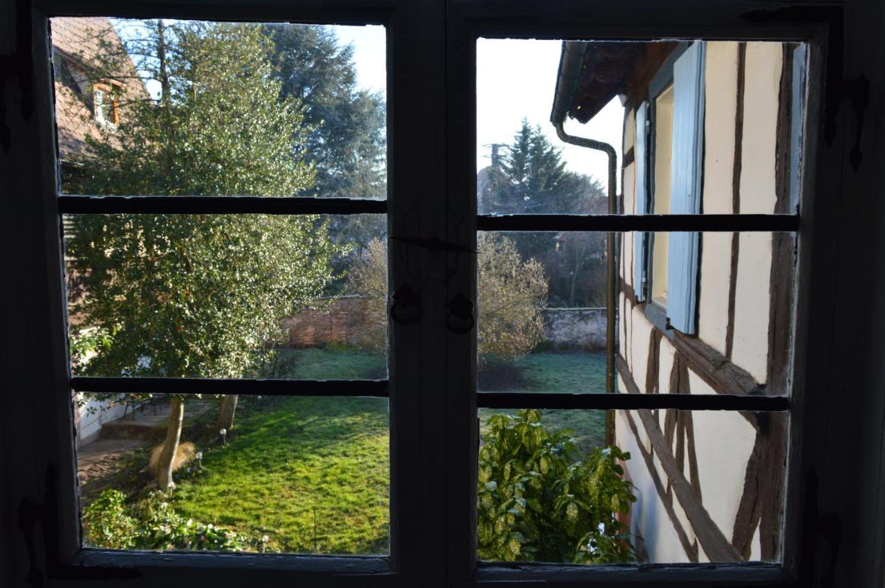 Maison Kobold Xvie Siecle Wissembourg Exteriör bild